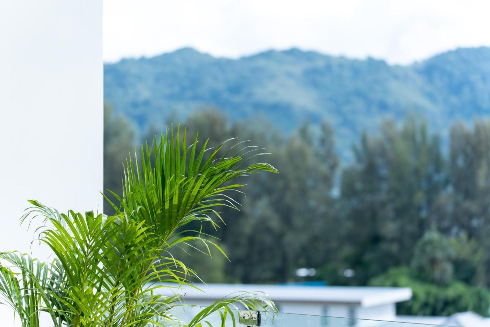 Sole Mio Boutique Hotel And Wellness - Adults Only Pantai Bang Tao Luaran gambar